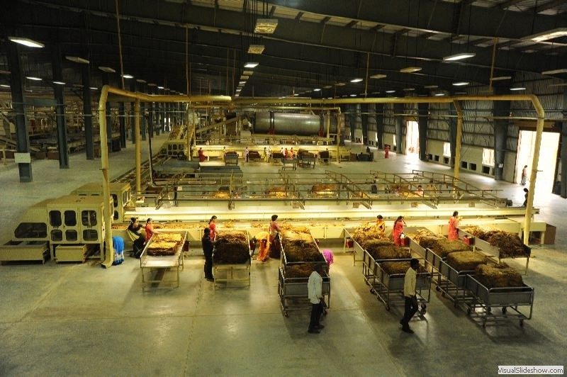 DGFT IEC Import Export Code India — tobacco export certification