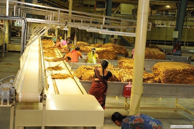 Tobacco Board of India Registration — FCV and Non-FCV tobacco